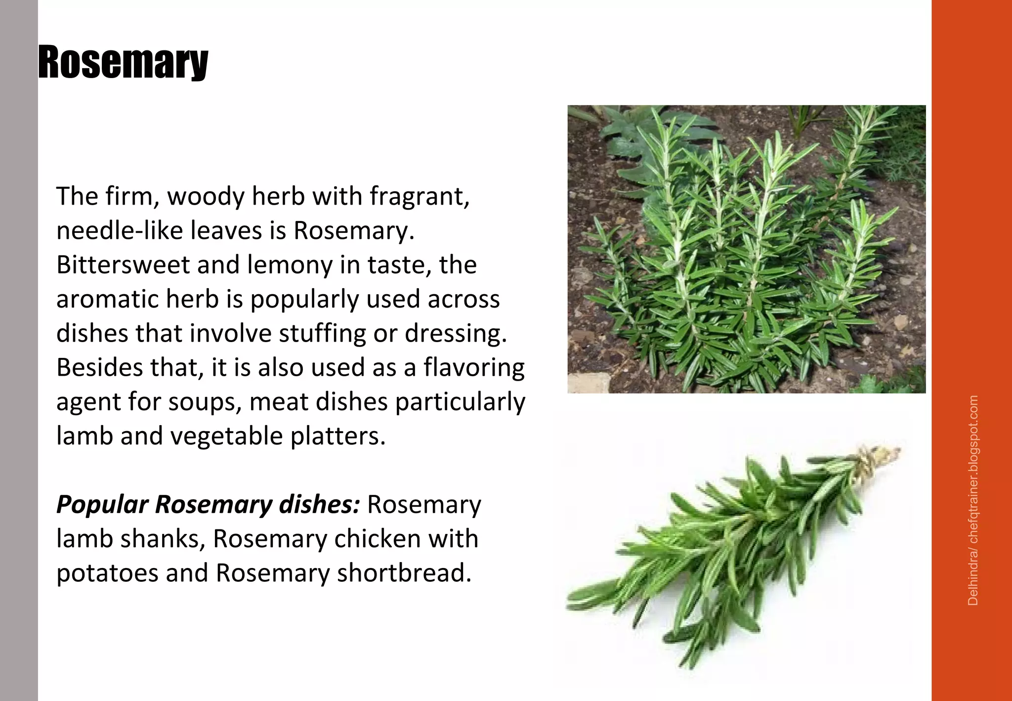 Rosemary
The firm, woody herb with fragrant,
needle-like leaves is Rosemary.
Bittersweet and lemony in taste, the
aromatic herb is popularly used across
dishes that involve stuffing or dressing.
Besides that, it is also used as a flavoring
agent for soups, meat dishes particularly
lamb and vegetable platters.
Popular Rosemary dishes: Rosemary
lamb shanks, Rosemary chicken with
potatoes and Rosemary shortbread.
Delhindra/chefqtrainer.blogspot.com
 