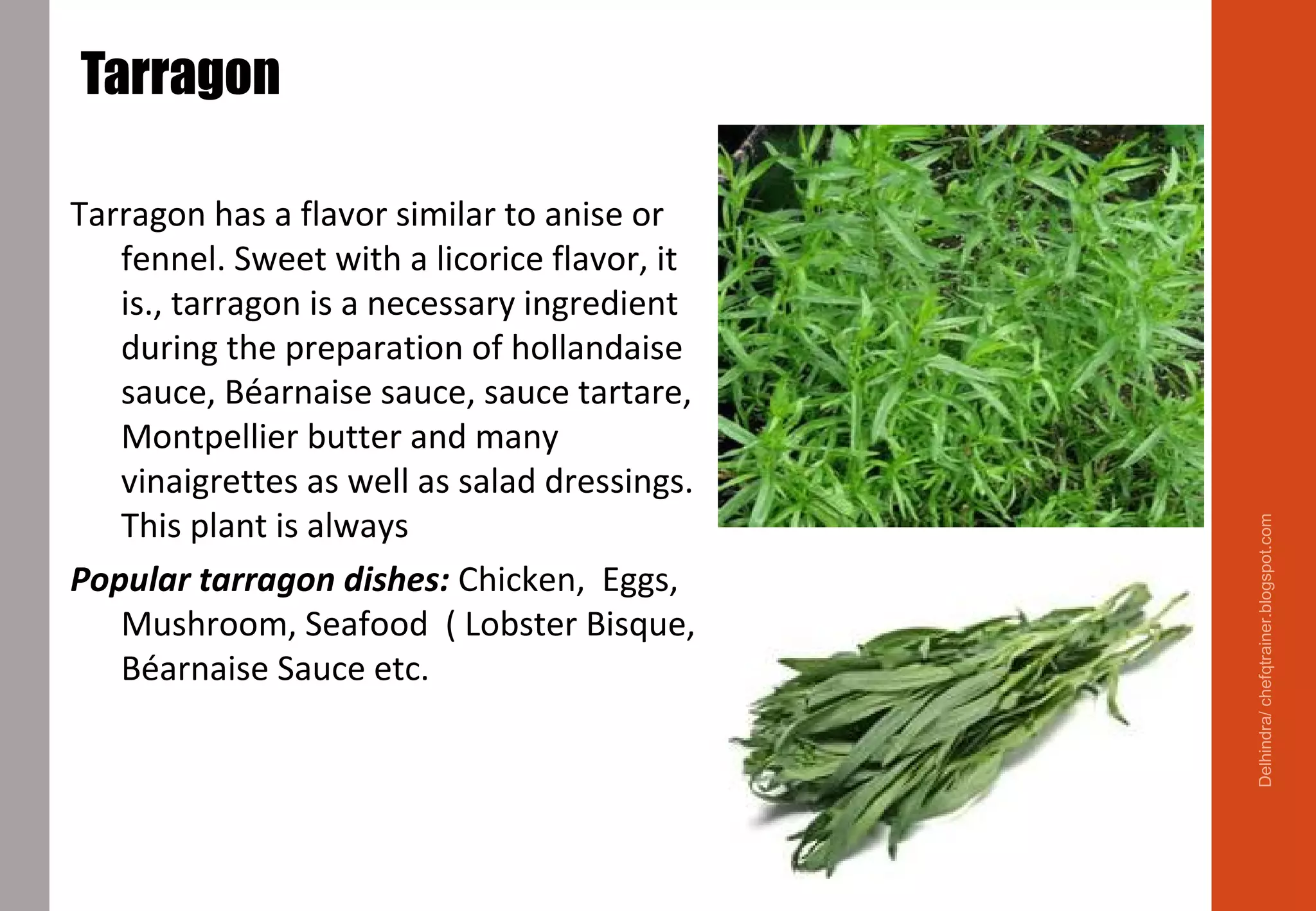 Tarragon
Tarragon has a flavor similar to anise or
fennel. Sweet with a licorice flavor, it
is., tarragon is a necessary ingredient
during the preparation of hollandaise
sauce, Béarnaise sauce, sauce tartare,
Montpellier butter and many
vinaigrettes as well as salad dressings.
This plant is always
Popular tarragon dishes: Chicken, Eggs,
Mushroom, Seafood ( Lobster Bisque,
Béarnaise Sauce etc.
Delhindra/chefqtrainer.blogspot.com
 