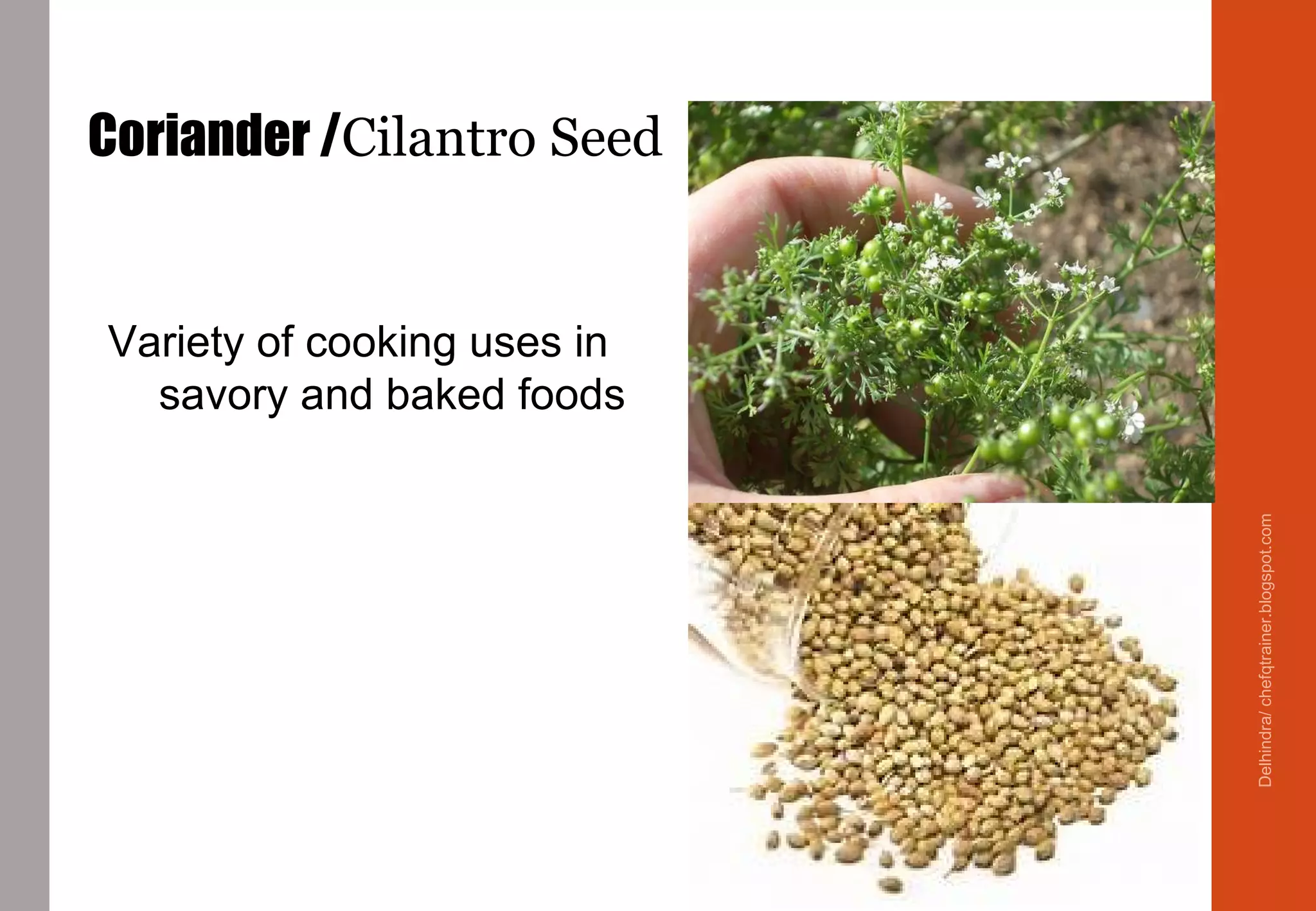 Coriander /Cilantro Seed
Variety of cooking uses in
savory and baked foods
Delhindra/chefqtrainer.blogspot.com
 