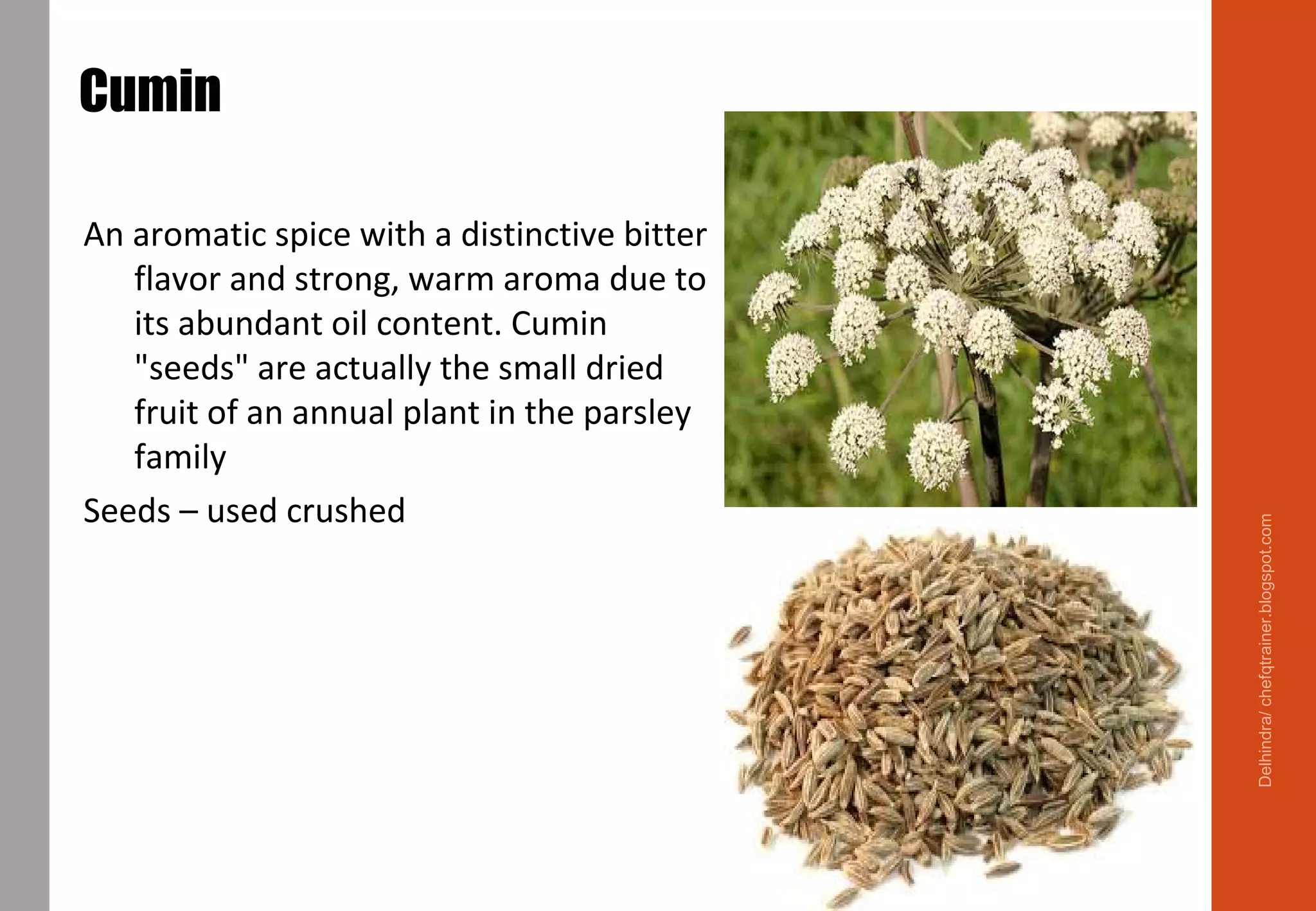 Cumin
An aromatic spice with a distinctive bitter
flavor and strong, warm aroma due to
its abundant oil content. Cumin
"seeds" are actually the small dried
fruit of an annual plant in the parsley
family
Seeds – used crushed
Popular cumin dishes: Mexican , Arabic
and Indian Food
Delhindra/chefqtrainer.blogspot.com
 