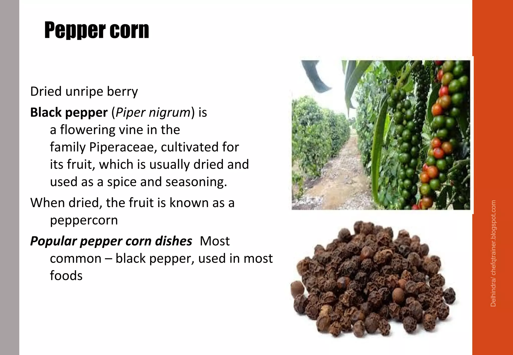 Pepper corn
Dried unripe berry
Black pepper (Piper nigrum) is
a flowering vine in the
family Piperaceae, cultivated for
its fruit, which is usually dried and
used as a spice and seasoning.
When dried, the fruit is known as a
peppercorn
Popular pepper corn dishes: Most
common – black pepper, used in most
foods
Delhindra/chefqtrainer.blogspot.com
 
