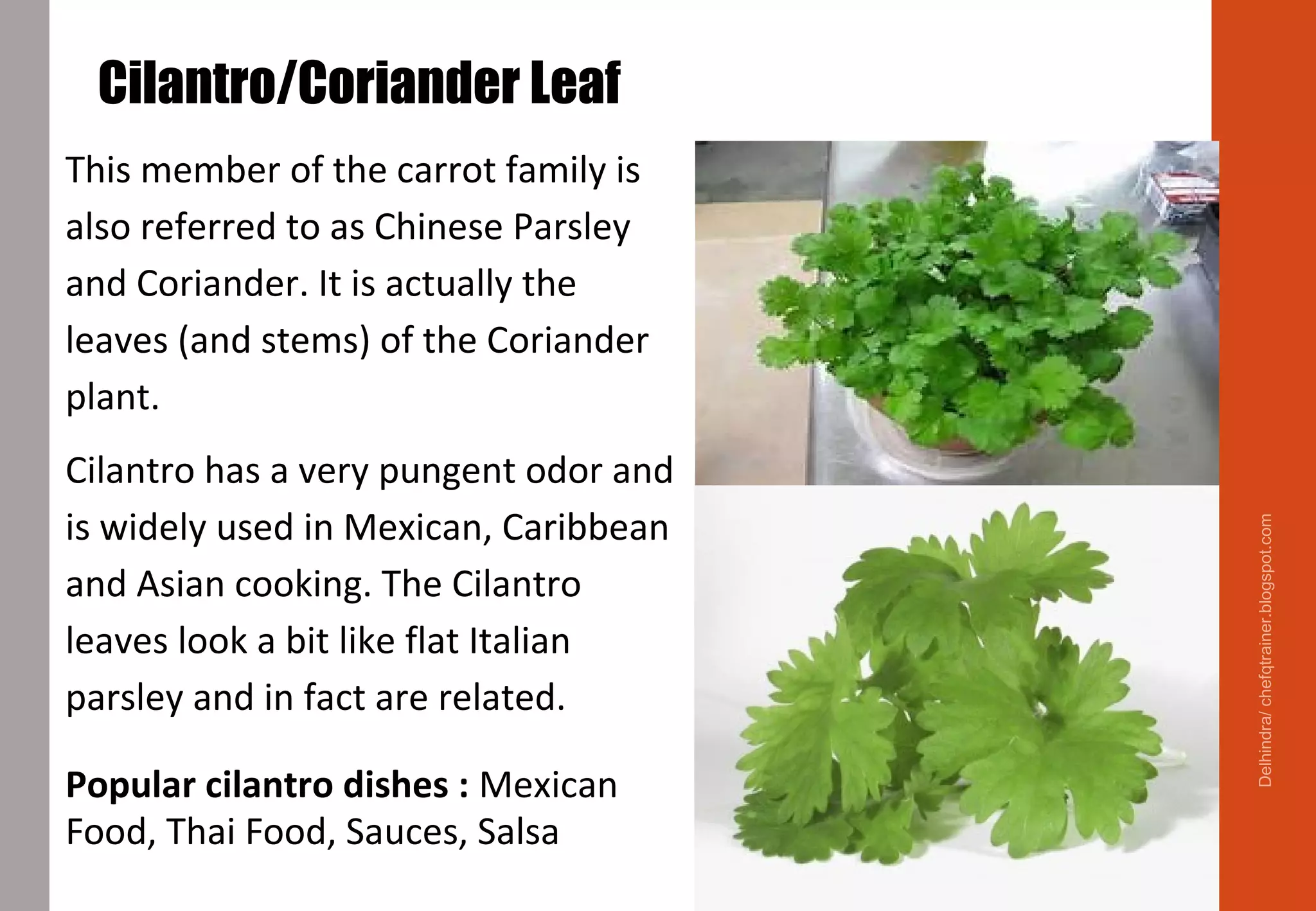 Cilantro/Coriander Leaf
This member of the carrot family is
also referred to as Chinese Parsley
and Coriander. It is actually the
leaves (and stems) of the Coriander
plant.
Cilantro has a very pungent odor and
is widely used in Mexican, Caribbean
and Asian cooking. The Cilantro
leaves look a bit like flat Italian
parsley and in fact are related.
Popular cilantro dishes : Mexican
Food, Thai Food, Sauces, Salsa
Delhindra/chefqtrainer.blogspot.com
 