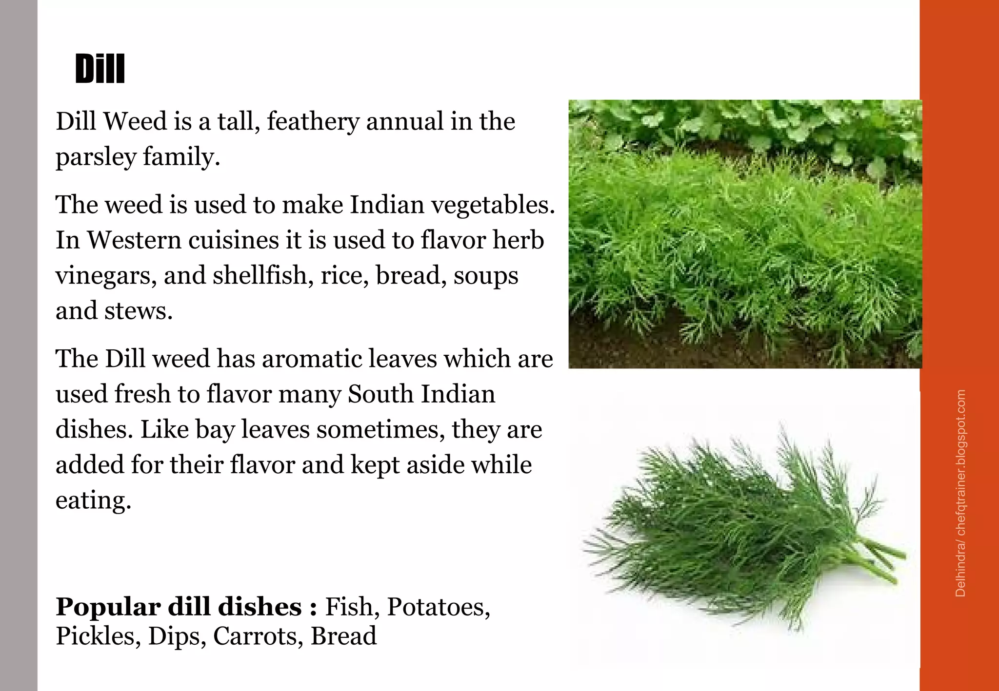 Dill
Dill Weed is a tall, feathery annual in the
parsley family.
The weed is used to make Indian vegetables.
In Western cuisines it is used to flavor herb
vinegars, and shellfish, rice, bread, soups
and stews.
The Dill weed has aromatic leaves which are
used fresh to flavor many South Indian
dishes. Like bay leaves sometimes, they are
added for their flavor and kept aside while
eating.
Popular dill dishes : Fish, Potatoes,
Pickles, Dips, Carrots, Bread
Delhindra/chefqtrainer.blogspot.com
 