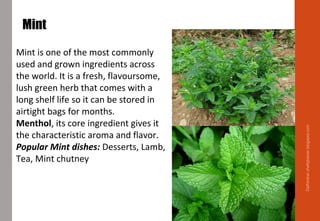 Mint
Mint is one of the most commonly
used and grown ingredients across
the world. It is a fresh, flavoursome,
lush green herb that comes with a
long shelf life so it can be stored in
airtight bags for months.
Menthol, its core ingredient gives it
the characteristic aroma and flavor.
Popular Mint dishes: Desserts, Lamb,
Tea, Mint chutney
Delhindra/chefqtrainer.blogspot.com
 