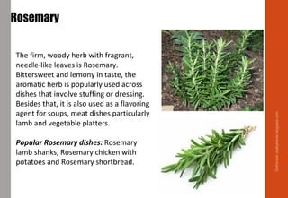 Rosemary
The firm, woody herb with fragrant,
needle-like leaves is Rosemary.
Bittersweet and lemony in taste, the
aromatic herb is popularly used across
dishes that involve stuffing or dressing.
Besides that, it is also used as a flavoring
agent for soups, meat dishes particularly
lamb and vegetable platters.
Popular Rosemary dishes: Rosemary
lamb shanks, Rosemary chicken with
potatoes and Rosemary shortbread.
Delhindra/chefqtrainer.blogspot.com
 