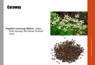 Caraway
Popular caraway dishes: Apple,
Pork, Sausage, Rye Bread, Goulash
Soup
Delhindra/chefqtrainer.blogspot.com
 