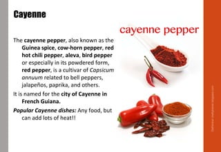 Cayenne
The cayenne pepper, also known as the
Guinea spice, cow-horn pepper, red
hot chili pepper, aleva, bird pepper
or especially in its powdered form,
red pepper, is a cultivar of Capsicum
annuum related to bell peppers,
jalapeños, paprika, and others.
It is named for the city of Cayenne in
French Guiana.
Popular Cayenne dishes: Any food, but
can add lots of heat!!
Delhindra/chefqtrainer.blogspot.com
 