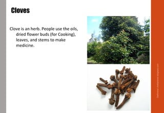 Cloves
Clove is an herb. People use the oils,
dried flower buds (for Cooking),
leaves, and stems to make
medicine.
Meats, Stocks, Sauces, Baking , Soup
Delhindra/chefqtrainer.blogspot.com
 