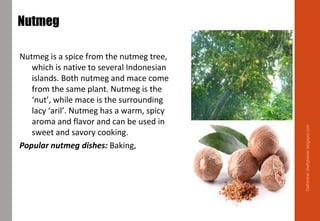 Nutmeg
Seed kernel inside a fruit
Nutmeg is a spice from the nutmeg tree,
which is native to several Indonesian
islands. Both nutmeg and mace come
from the same plant. Nutmeg is the
‘nut’, while mace is the surrounding
lacy ‘aril’. Nutmeg has a warm, spicy
aroma and flavor and can be used in
sweet and savory cooking.
Popular nutmeg dishes: Baking, cheese,
eggs, Béchamel Sauce
Delhindra/chefqtrainer.blogspot.com
 