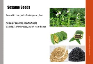 Sesame Seeds
Found in the pod of a tropical plant
Popular sesame seed sdishes
Baking, Tahini Paste, Asian Fish dishes
Delhindra/chefqtrainer.blogspot.com
 