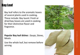 Bay leaf refers to the aromatic leaves
of several plants used in cooking.
These include: Bay laurel. Fresh or
dried bay leaves are used in cooking
for their distinctive flavor and
fragrance.
Popular Bay leaf dishes : Soups, Stews,
Meats
Use the whole leaf, but remove before
serving
Bay Leaf
Delhindra/chefqtrainer.blogspot.com
 