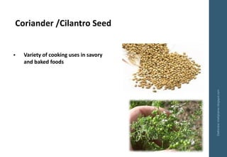 Coriander /Cilantro Seed
Delhindra/chefqtrainer.blogspot.com
▪ Variety of cooking uses in savory
and baked foods
 