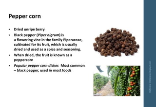 Pepper corn
Delhindra/chefqtrainer.blogspot.com
▪ Dried unripe berry
▪ Black pepper (Piper nigrum) is
a flowering vine in ...