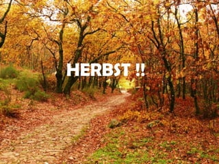 HERBST !!
 