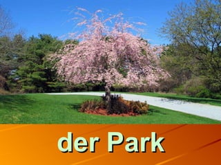 der Parkder Park
 