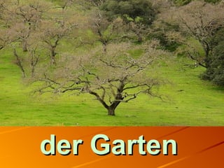 der Gartender Garten
 