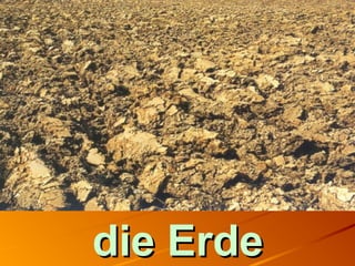 die Erdedie Erde
 