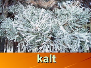 kaltkalt
 