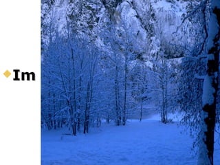 Im WinterIm Winter
 