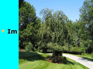  Im SommerIm Sommer
 