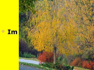  Im HerbstIm Herbst
 