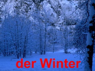 der Winter
 