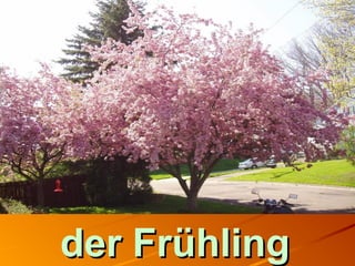 der Frühlingder Frühling
 