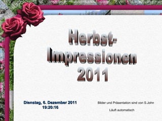 Herbst- Impressionen 2011 Bilder und Präsentation sind von S.John Läuft automatisch Dienstag, 6. Dezember 2011 19:19:45 