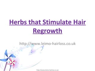 Herbs that Stimulate Hair
       Regrowth
   http://www.leimo-hairloss.co.uk




            http://www.leimo-hairloss.co.uk
 