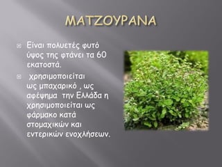  Γίθαε πκηνεηέμ θνηό
ύοκμ ηγμ θηάθεε ηα 60
εζαηκζηά.
 ξλγζεμκπκεείηαε
πμ μπαξαλεζό , πμ
αθέογμα ηγθ Γηηάδα γ
ξλγζεμκπκεείηαε πμ
θάλμαζκ ζαηά
ζηκμαξεζώθ ζαε
εθηελεζώθ εθκξηήζεπθ.
 