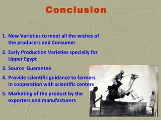 1. New Varieties to meet all the wishes of
the producers and Consumer
2. Early Production Varieties specially for
Upper Egypt
3. Source Guarantee
4. Provide scientific guidance to farmers
in cooperation with scientific centers
5. Marketing of the product by the
exporters and manufacturers
Conclusion
 