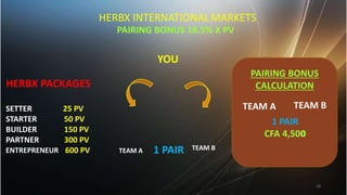 PAIRING BONUS 16.5% X PV
HERBX INTERNATIONALMARKETS
YOU
TEAM A TEAM B
P
1 AIR
HERBX PACKAGES
SETTER PV
25
STARTER PV
50
BU...