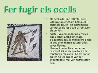 • Els ocells del llac Estímfal eren
unes aus que tenien becs,ales i
arpes de coure i els excrements
verinosos de les quals arruïnaven
els cultius.
• Eristeu va comandar a Hèrcules
que acabés amb l'amenaça
d'aquestes aus, la missió era difícil
ja que eren massa aus per a les
seves fletxes.
Llavors Atenea li va donar un
cascavell i li va dir que fora a la
muntanya mes alta i ho fes sonar,
en fer-ho les aus es van ser
espantades i mai van regressaren
llac.
 