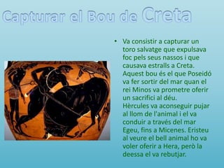 • Va consistir a capturar un
toro salvatge que expulsava
foc pels seus nassos i que
causava estralls a Creta.
Aquest bou és el que Poseidó
va fer sortir del mar quan el
rei Minos va prometre oferir
un sacrifici al déu.
Hèrcules va aconseguir pujar
al llom de l'animal i el va
conduir a través del mar
Egeu, fins a Micenes. Eristeu
al veure el bell animal ho va
voler oferir a Hera, però la
deessa el va rebutjar.
 