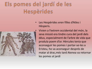 • Les Hespèrides eren filles d’Atles i
Hèsperis.
• Vivien a l’extrem occidental del món, la
seva missió era tindre cura del jardí dels
déus, especialment de l’arbre de vida que
produïa poem d’or. Hèrcules tenia que
aconseguir les pomes i portar-se-les a
Eristeu, ho va aconseguir després de
matar al drac,més tard Atenea va retornar
les pomes al jardí
 