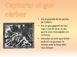 • Era el guardià de les portes
de l’infern.
• Era un gos gegantí de tres
caps i cua de serp, es diu
que la seva mossegada era
verinosa.
• Hèrcules va tenir que lluitar
amb ell i va guanyar-lo
només amb la força dels
seus braços.
 