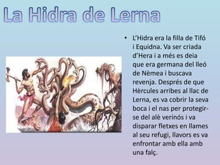 • L’Hidra era la filla de Tifó
i Equidna. Va ser criada
d’Hera i a més es deia
que era germana del lleó
de Nèmea i buscava
revenja. Després de que
Hèrcules arribes al llac de
Lerna, es va cobrir la seva
boca i el nas per protegir-
se del alè verinós i va
disparar fletxes en llames
al seu refugi, llavors es va
enfrontar amb ella amb
una falç.
 