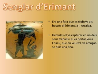 • Era una fera que es trobava als
boscos d’Erimant, a l’ Arcàida.
• Hèrcules el va capturar en un dels
seus treballs i el va portar viu a
Eriseu, que en veure’l, va amagar-
se dins una tina.
 