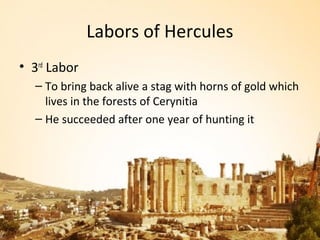 Labors of Hercules
• 3rd Labor
  – To bring back alive a stag with horns of gold which
    lives in the forests of Cerynitia
  – He succeeded after one year of hunting it
 