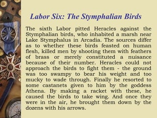 Labor Six: The Stymphalian Birds
The sixth Labor pitted Heracles against the
Stymphalian birds, who inhabited a marsh near
Lake Stymphalus in Arcadia. The sources differ
as to whether these birds feasted on human
flesh, killed men by shooting them with feathers
of brass or merely constituted a nuisance
because of their number. Heracles could not
approach the birds to fight them - the ground
was too swampy to bear his weight and too
mucky to wade through. Finally he resorted to
some castanets given to him by the goddess
Athena. By making a racket with these, he
caused the birds to take wing. And once they
were in the air, he brought them down by the
dozens with his arrows.
 