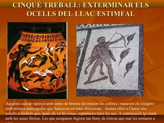 CINQUÉ TREBALL: EXTERMINAR ELSCINQUÉ TREBALL: EXTERMINAR ELS
OCELLS DEL LLAC ESTIMFALOCELLS DEL LLAC ESTIMFAL
Aquestes aus de rapinya amb urpes de bronze devoraven les collites i mataven els viatgers
amb plomes punxegudes que llançaven en totes direccions. Atenea oferí a l’heroi uns
sonalls o timbals que, quan els va fer sonar, espantaren totes les aus. A continuació les matà
amb les seues fletxes. Les que escaparen fugiren tan lluny de Grècia que mai les tornaren a
 