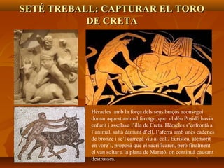 SETÉ TREBALL: CAPTURAR EL TOROSETÉ TREBALL: CAPTURAR EL TORO
DE CRETADE CRETA
Hèracles amb la força dels seus braços aconseguí
domar aquest animal ferotge, que el déu Posidó havia
enfurit i assolava l’illa de Creta. Hèracles s’enfrontà a
l’animal, saltà damunt d’ell, l’aferrà amb unes cadenes
de bronze i se’l carregà viu al coll. Euristeu, atemorit
en vore’l, proposà que el sacrificaren, però finalment
el van soltar a la plana de Marató, on continuà causant
destrosses.
 