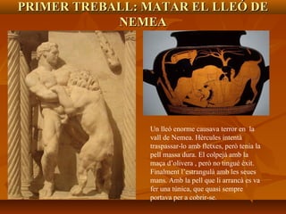 PRIMER TREBALL: MATAR EL LLEÓ DEPRIMER TREBALL: MATAR EL LLEÓ DE
NEMEANEMEA
Un lleó enorme causava terror en la
vall de Nemea. Hèrcules intentà
traspassar-lo amb fletxes, però tenia la
pell massa dura. El colpejà amb la
maça d’olivera , però no tingué èxit.
Finalment l’estrangulà amb les seues
mans. Amb la pell que li arrancà es va
fer una túnica, que quasi sempre
portava per a cobrir-se.
 