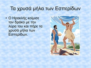 Τα χρυσά μήλα των Εσπερίδων
● Ο Ηρακλής κοίμισε
τον δράκο με την
λύρα του και πήρε τα
χρυσά μήλα των
Εσπερίδων.
 