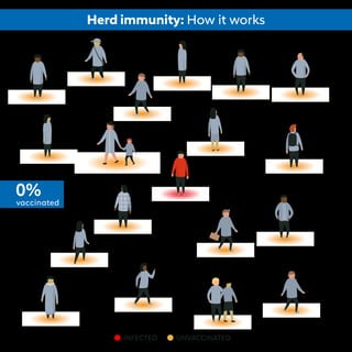 INFECTED UNVACCINATED
Herd immunity: How it works
vaccinated
0%
 