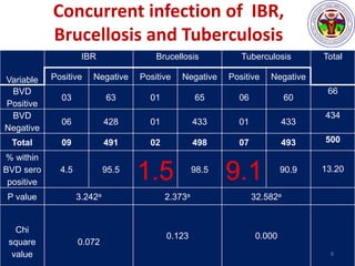 Concurrent infection of IBR,
Brucellosis and Tuberculosis
Variable
IBR Brucellosis Tuberculosis Total
Positive Negative Positive Negative Positive Negative
BVD
Positive
03 63 01 65 06 60
66
BVD
Negative
06 428 01 433 01 433
434
Total 09 491 02 498 07 493 500
% within
BVD sero
positive
4.5 95.5
1.5 98.5
9.1 90.9 13.20
P value 3.242a 2.373a 32.582a
Chi
square
value
0.072
0.123 0.000
8
 