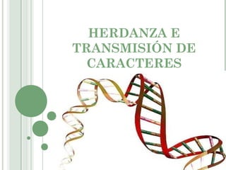 HERDANZA E
TRANSMISIÓN DE
  CARACTERES
 