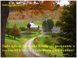 Divaldo Franco / Joanna de Ângelis Tudo que te falte, não é valioso, porquanto o essencial à vida é a sabedoria para conduzi-la,  a fim de conseguires,  