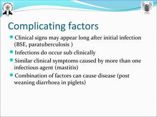 Complicating factors
Clinical signs may appear long after initial infection
(BSE, paratuberculosis )
Infections do occur sub clinically
Similar clinical symptoms caused by more than one
infectious agent (mastitis)
Combination of factors can cause disease (post
weaning diarrhoea in piglets)
 