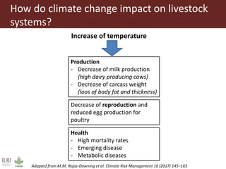 Climate change and herd management adaptation strategies